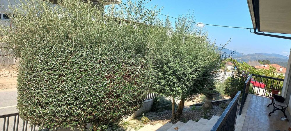 Serviços de jardinagem/Pichelaria