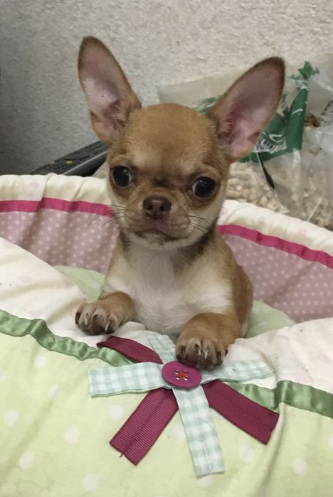 Маленькие позитивчики