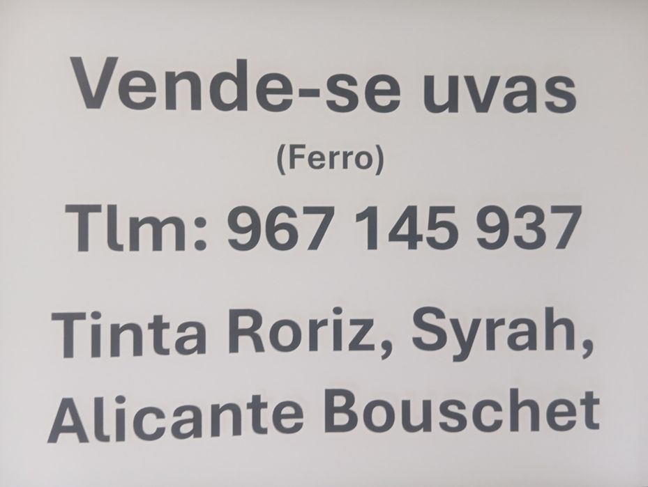 Uvas - Sirah, Tinta Roriz, Alicante bouschet