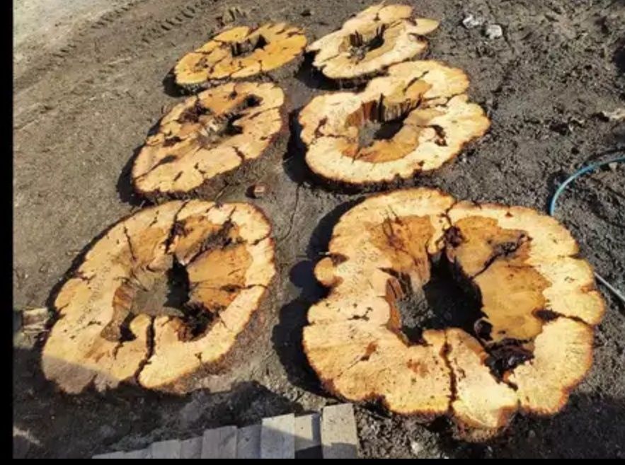 Ogromne plastry na stół lustro monolity orzech jesion czeczota klon