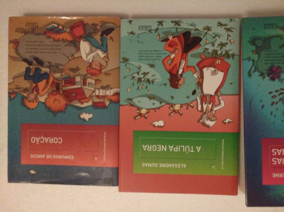 Livros juvenis clássicos literatura (6)