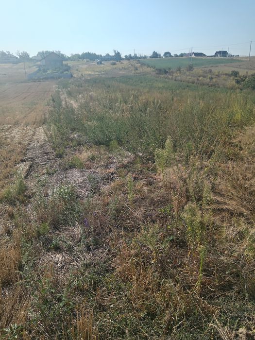 "Продам земельну ділянку 15 сот в Обарові