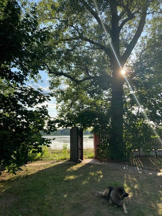 Inny Dom do wynajęcia/ Święta/ Wieczory Panieńskie