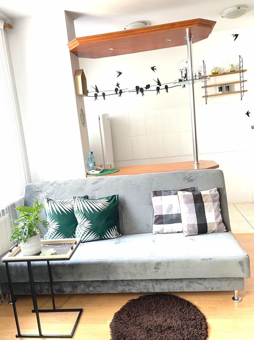 Apartament w Centrum