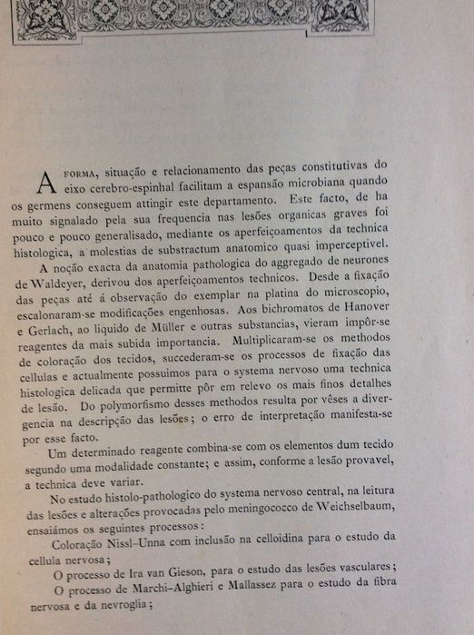 As alterações dos centros nervosos na meningite...1903
