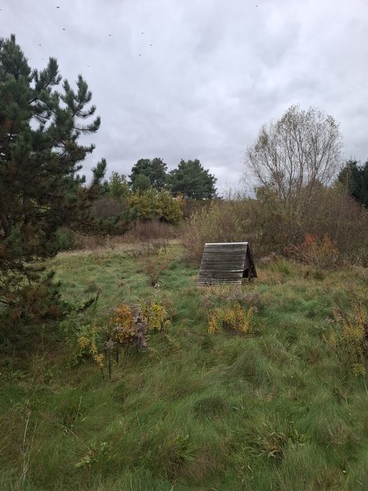 Atrakcyjna dzialka w Sulęcinie z wydana decyzją  geotechniczna!!! - Widok 4