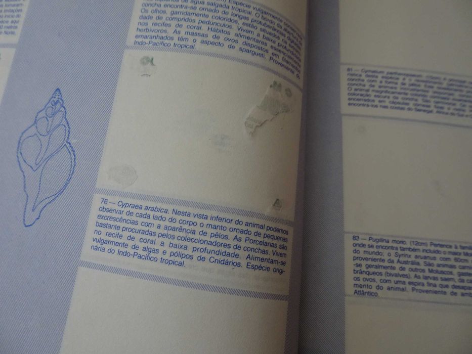 Caderneta de cromos vazia O Maravilhoso Mundo Subaquático