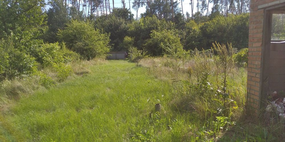 Продам ділянку у лісі