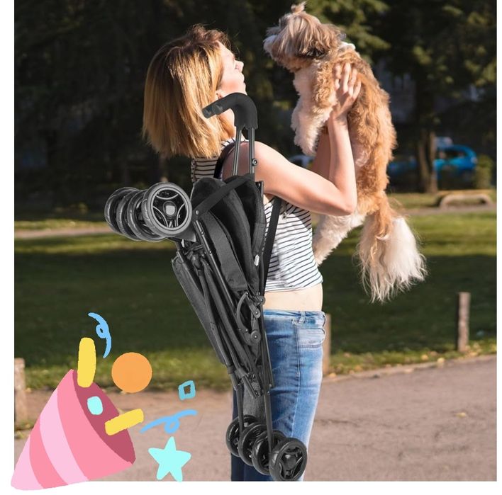 Carrinho de passeio pet