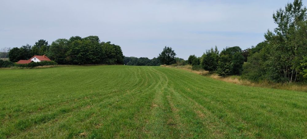 Działka nad jeziorem