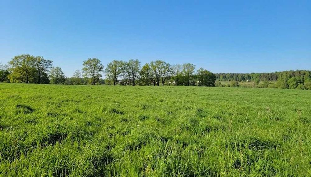 Продаж ділянки для будівель, закладів освіти 1,70га. Ястремщина.ID:771