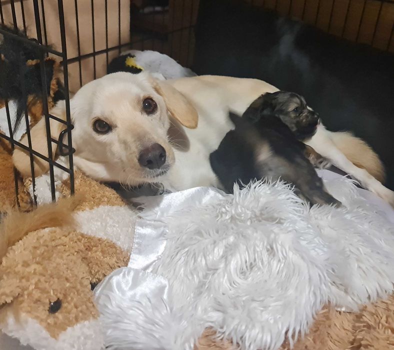 Balbinka to istne cudo