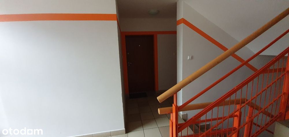 Bez pośredników, niski czynsz, świeżo odmalowane