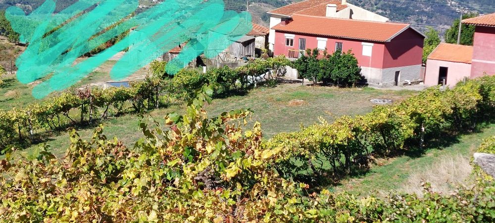 Casa com 3 quartos + terrenos em São Romão, Resende