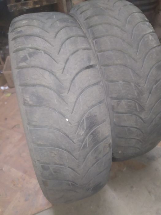 Р.14.185.65. зима