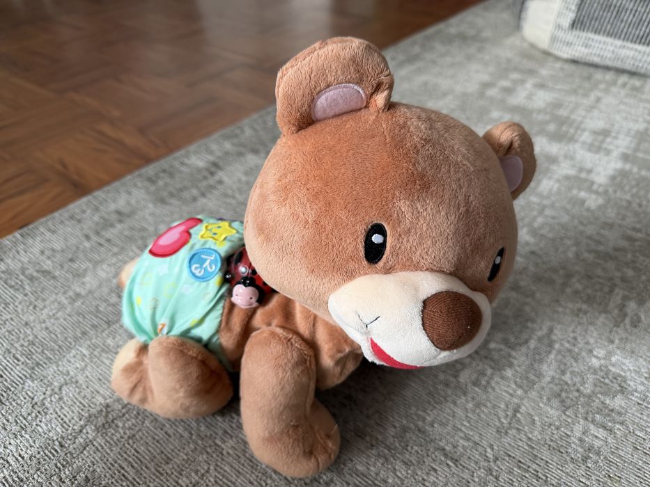 Teddy Gatinha Comigo