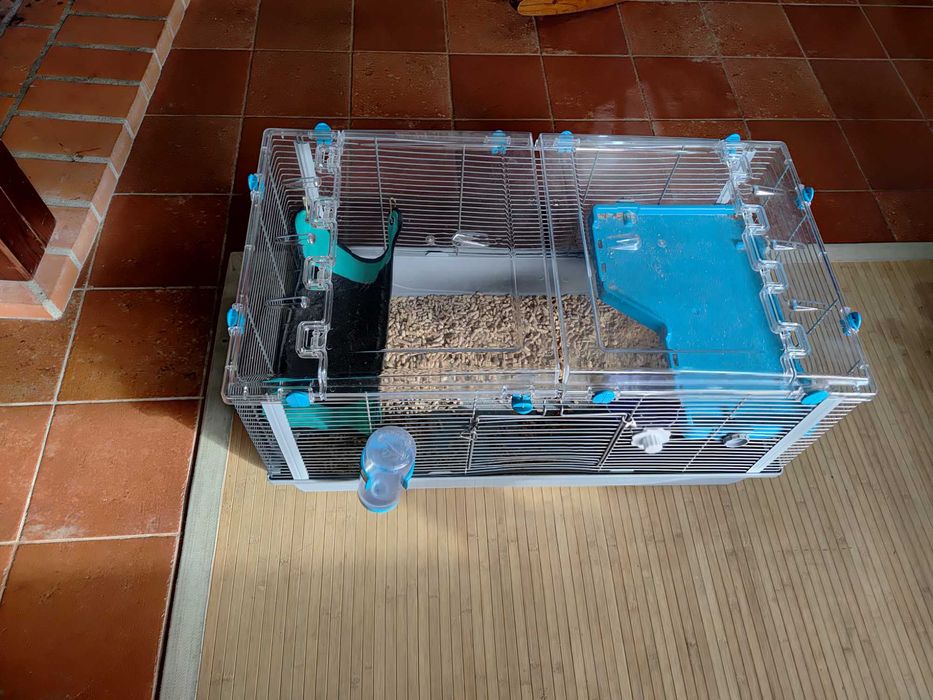 Gaiola de roedores como nova