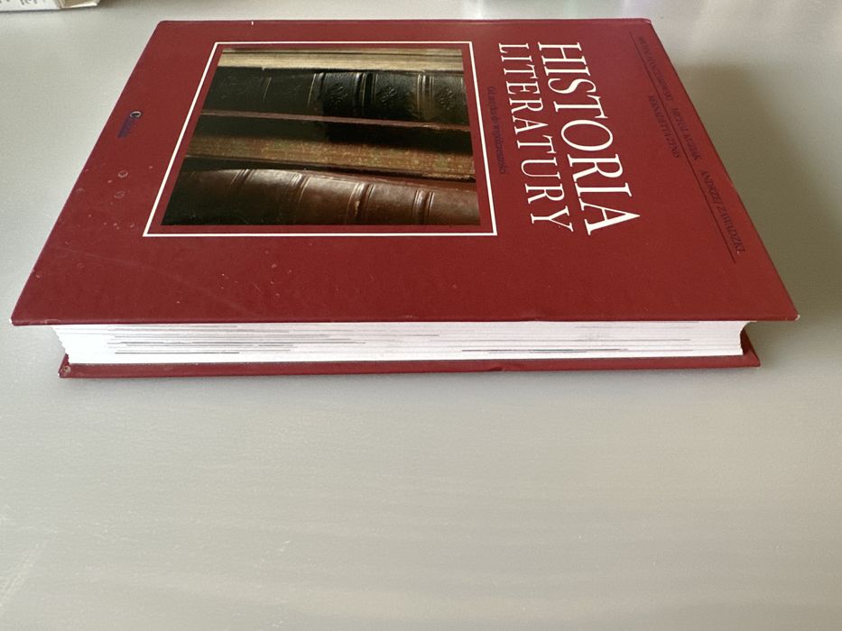 Historia literatury. Od antyku do współczesności