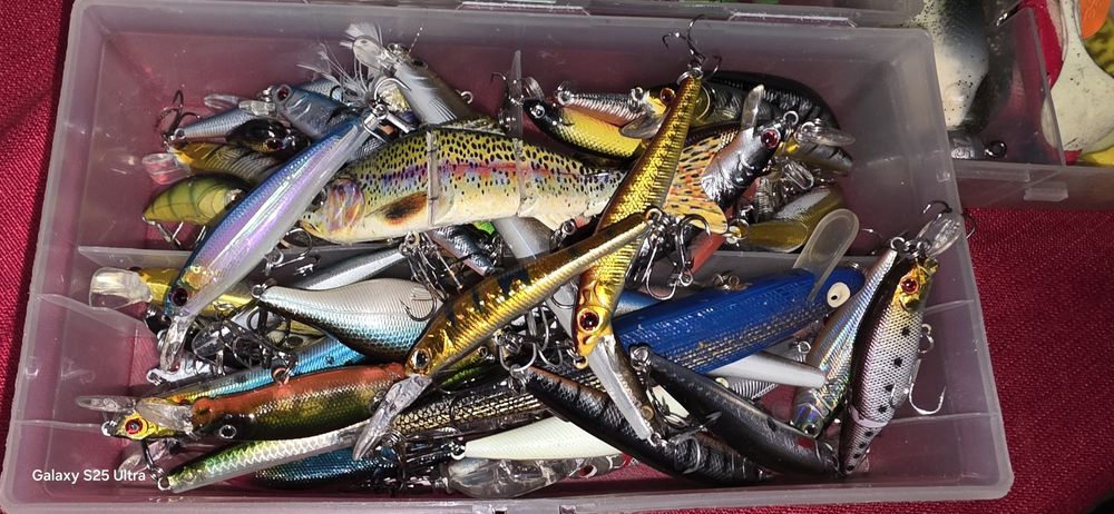 Zestaw dla spingisty