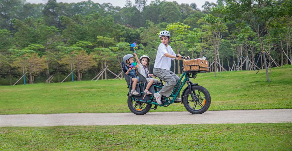 Bicicleta Elétrica Fiido T2 Longtail - NOVA