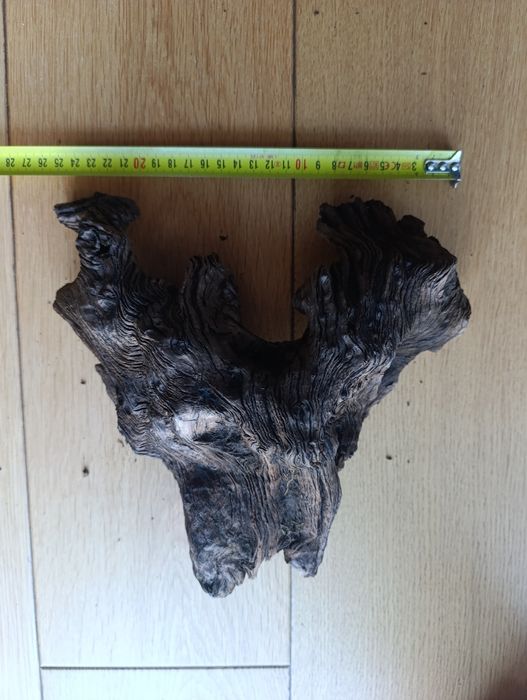 Korzenie do akwarium