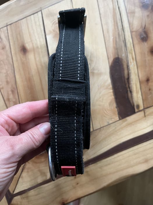 Obroźa dla psa Pentento Pet