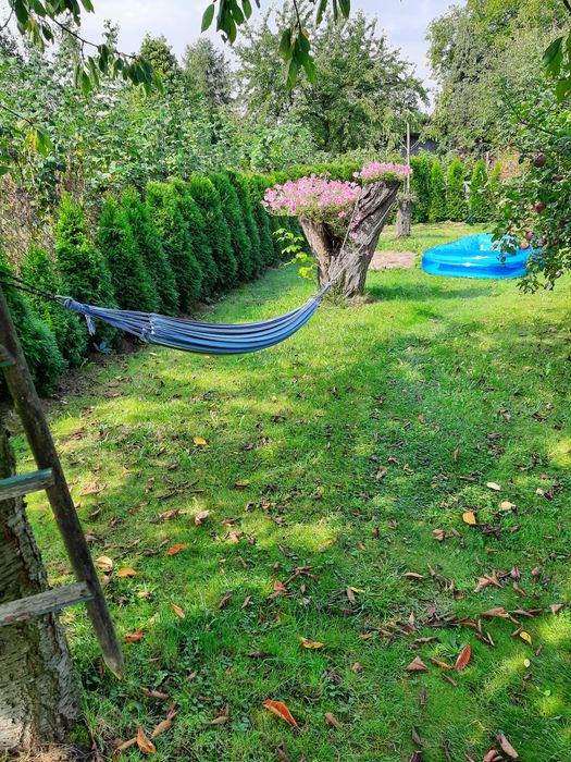 Działka ROD Nowy Start Gliwice