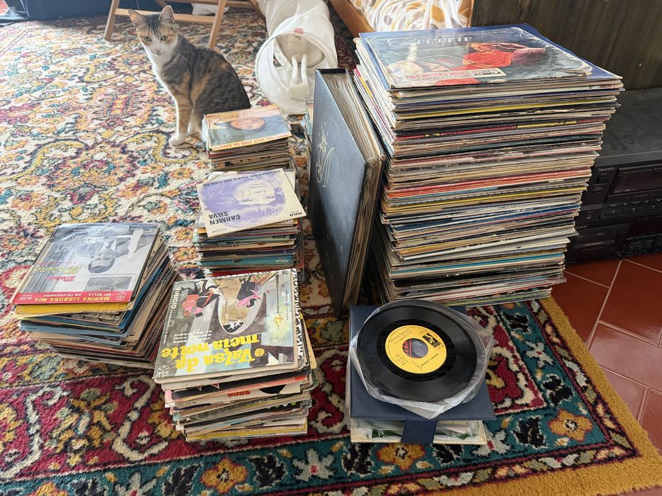 Lote 500+ discos vinil