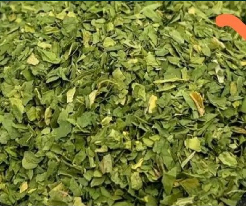 Черемша сушена дикий часник