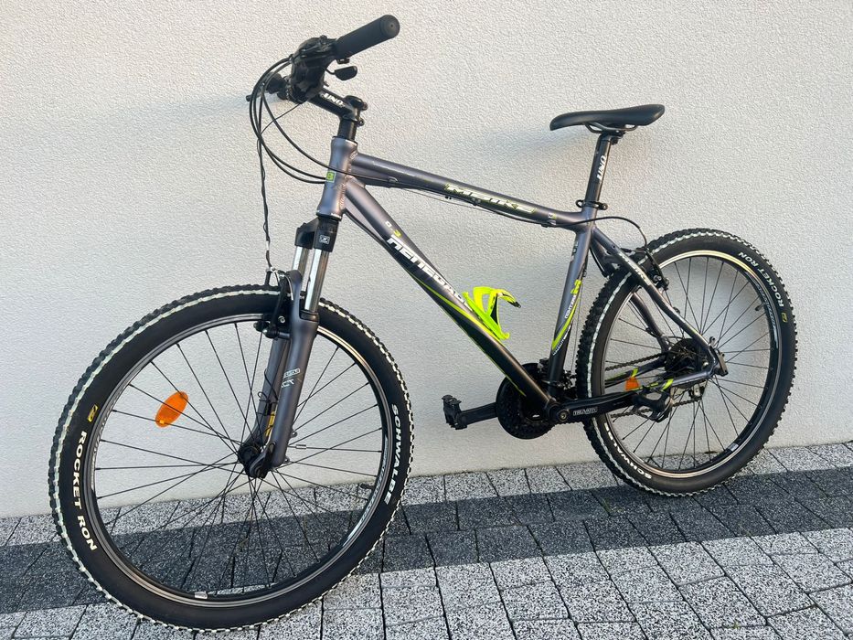 Rower MBike Renegate 0.3