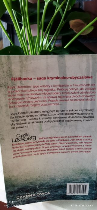 Kaznodzieja, Camilla Lackberg