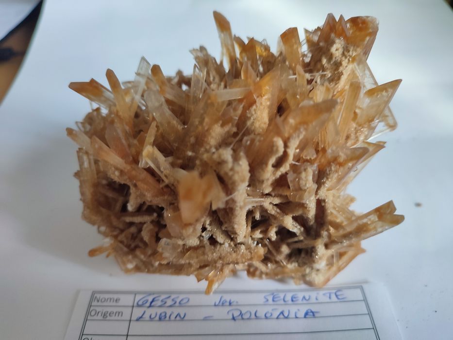 Minerais de coleção Gesso var. Selenite