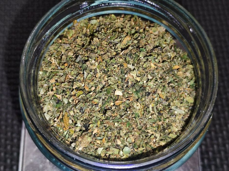 25 gramów przetartych topów konopi Indoor pure CBD Mohito 21%