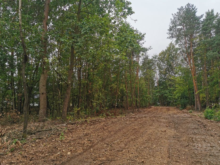 Działki leśne 1000m2, Janopole gm. Nowe Miasto, pow. Płoński