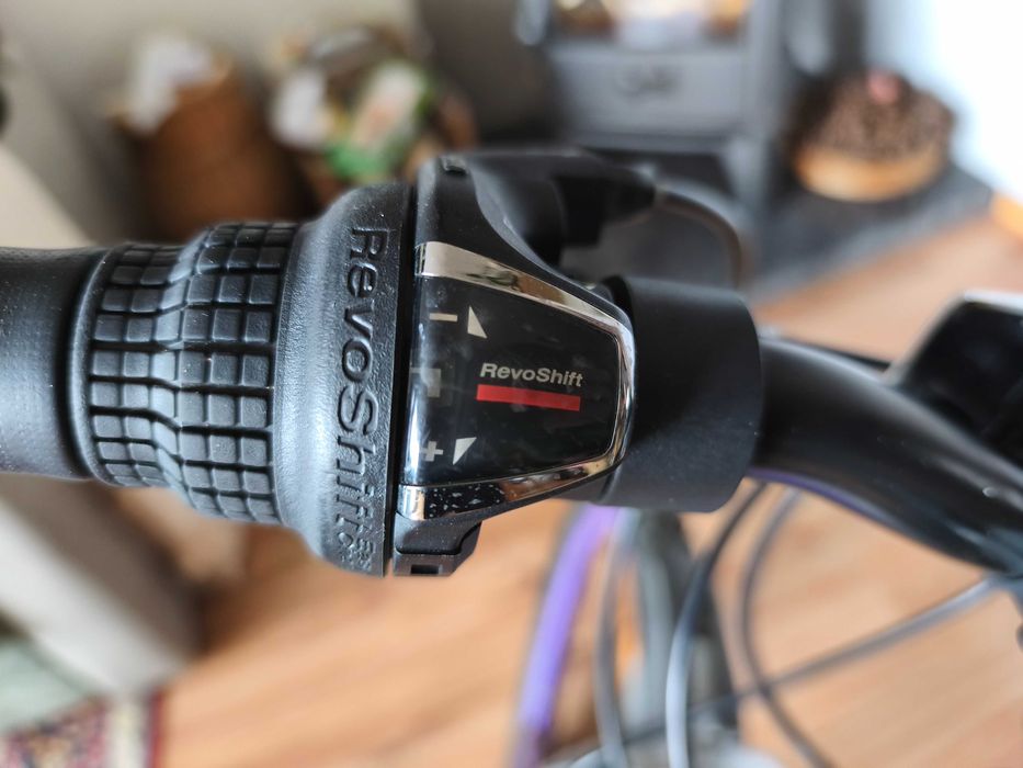 Rower Giant Live Enacht 24