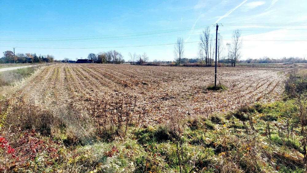 sprzedam pole rolne
