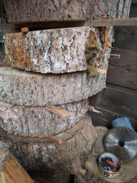 Dla kolekcjonera plaster drewna