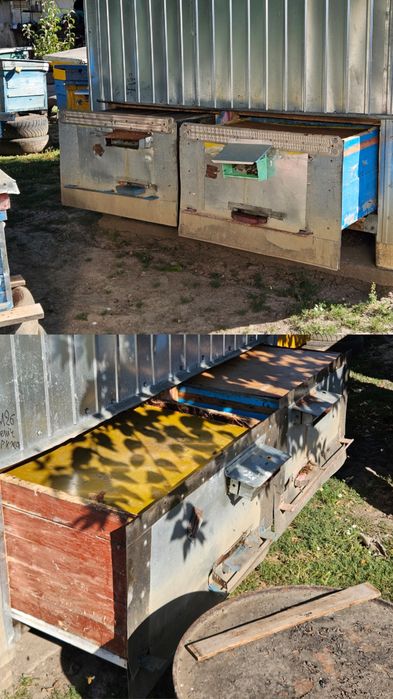 Апідомік, сон на бджолах, апібудинок