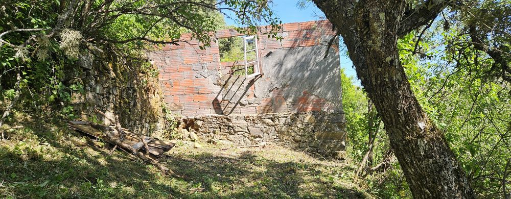 Terreno - Olival - Castelo Bragança