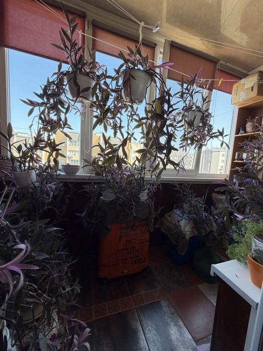 Продаж 1 кім. квартири в м.Вишневе