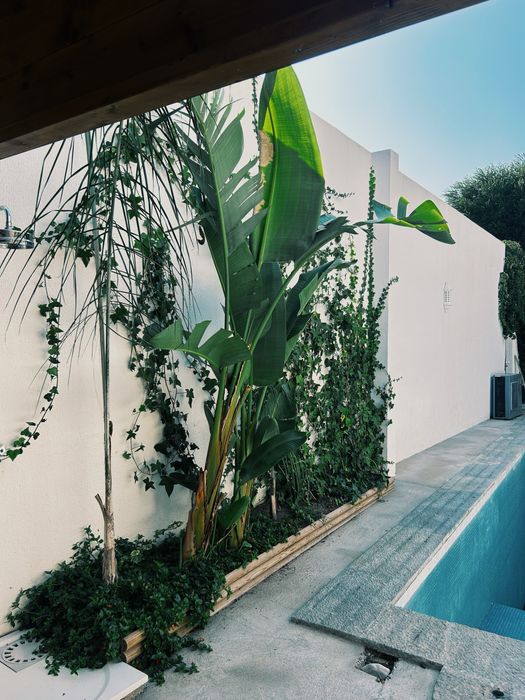 Quarto com casa de banho privativa