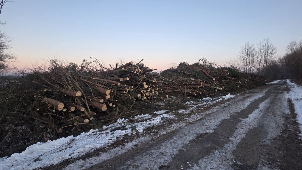 Kompleksowe usuwanie sadów, wycinka nieużytków