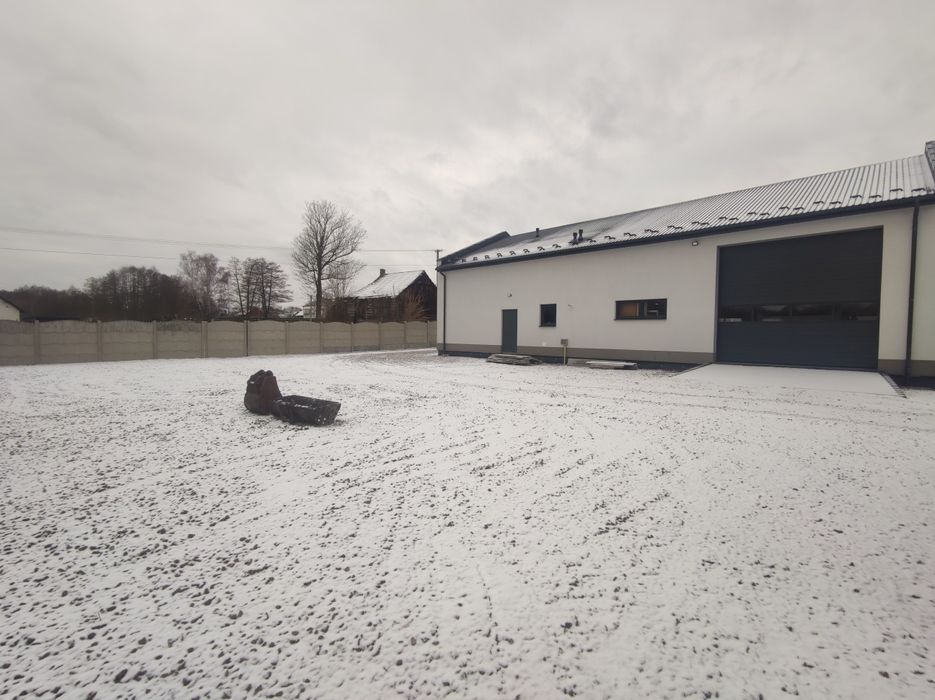 Wynajmę hale, warsztat samochodowy droga DW 780 Brodła, Alwernia