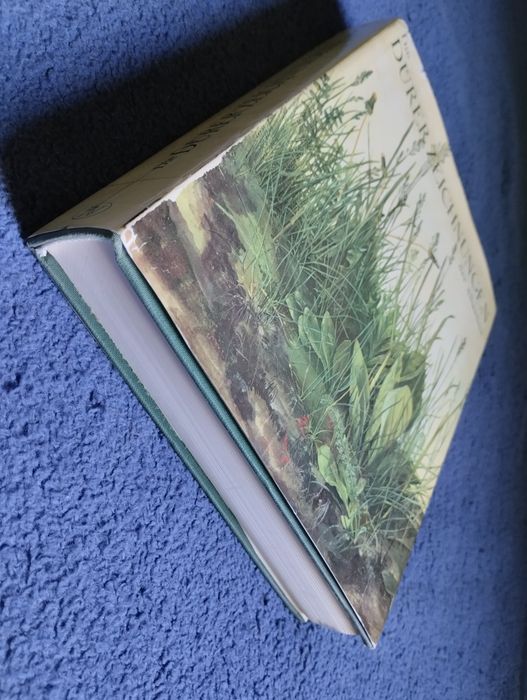 Die Dürer Zeichnungen der Albertina. Walther Koschatzky, Alice Strobl