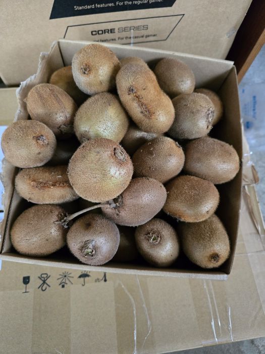 Kiwis biologicos 2 kg