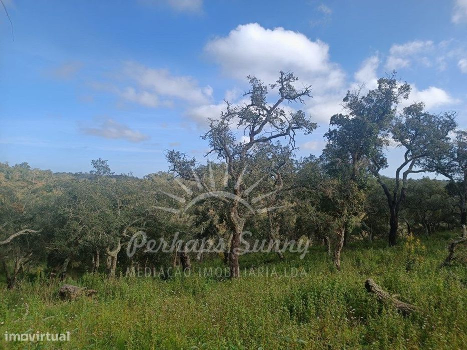 Terreno Rustico São Francisco da Serra
