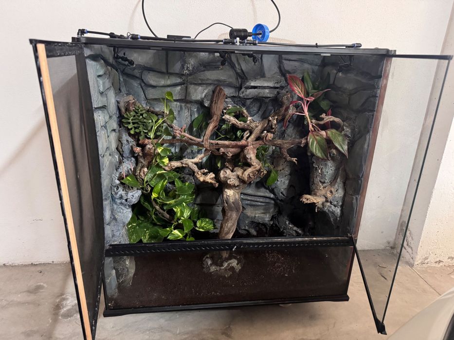 Terrario construído ha mão tudo a trabalhar
