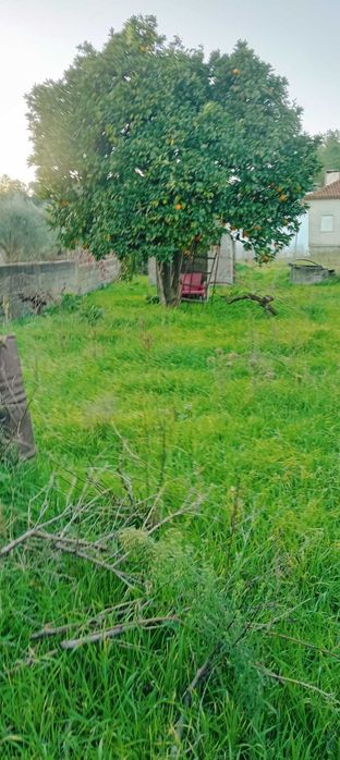 Casa da aldeia para recuperar.