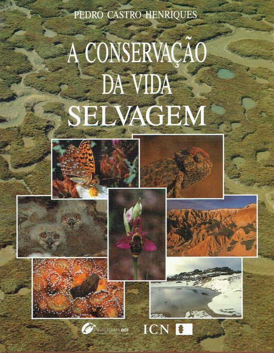 6954 	 Portugal visto do céu   José Hermano Saraiva