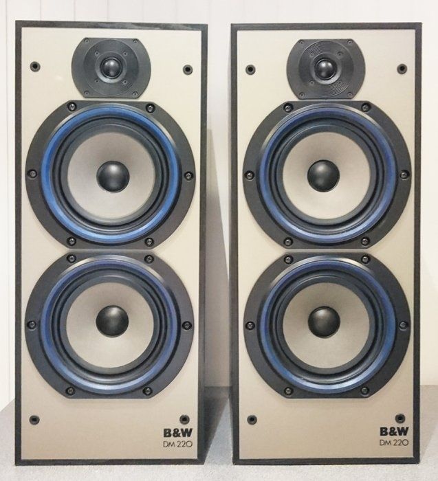 Bowers & wilkins dm 220 hot sale